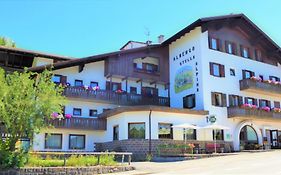 Hotel Stella Alpina